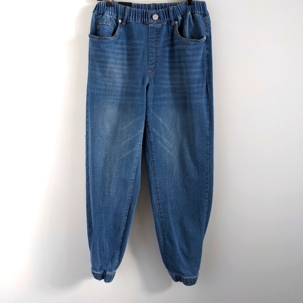 𝅺BLANKNYC High Waist Denim Joggers Jeans 28 pull on elastic waist